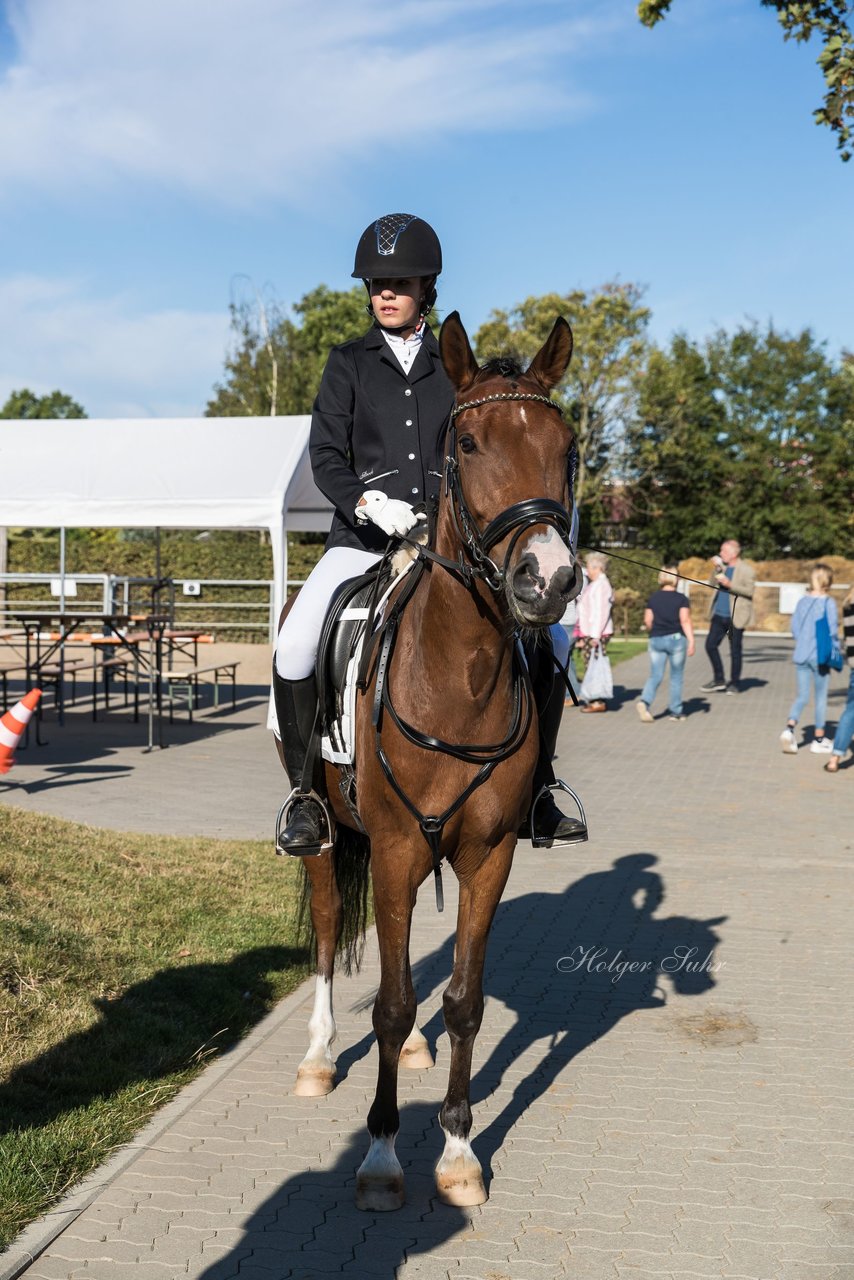 Bild 10 - Pony Akademie Turnier